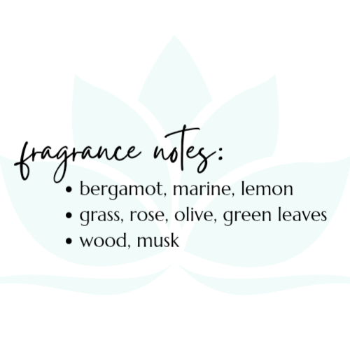 Tranquility Sugar Scrub